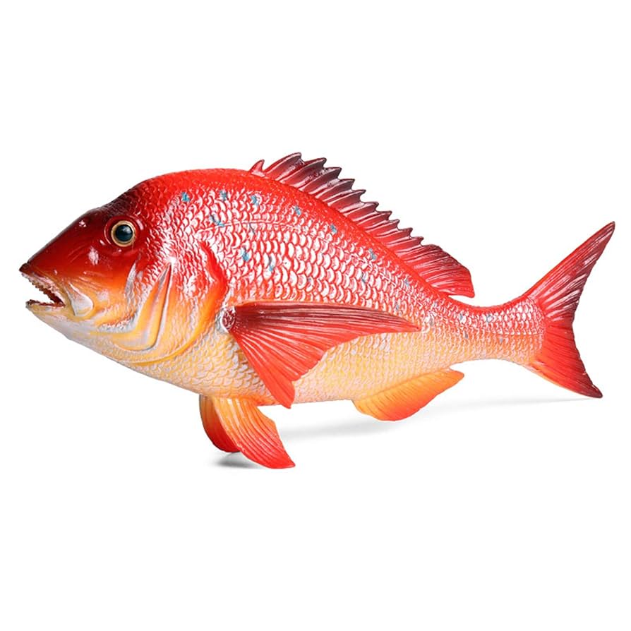 Amazon | Eden Toys 魚類 動物 メガネモチノウオ タイ カラ